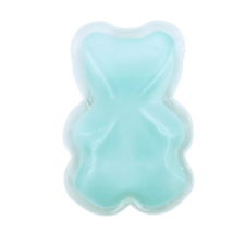 Ice Packs (2 pack)