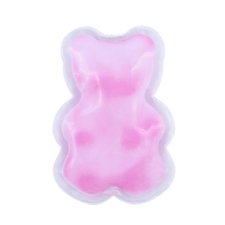 Ice Packs (2 pack)